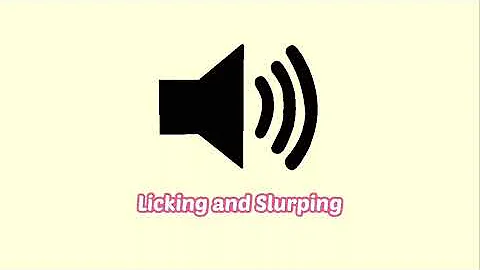 Licking and Slurping Eating Sound Effect