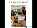 já viu gato de botas ? status do whatsapp