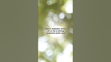 Thumbnail of Johann Sebastian Bach - Air on the G String, Orchestral Suite No.3