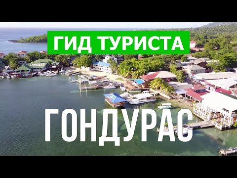 Видео: Роатан на островах залива Гондураса