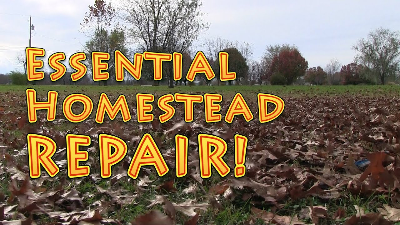 Essential Homestead REPAIR at The Big Family Homestead - YouTube