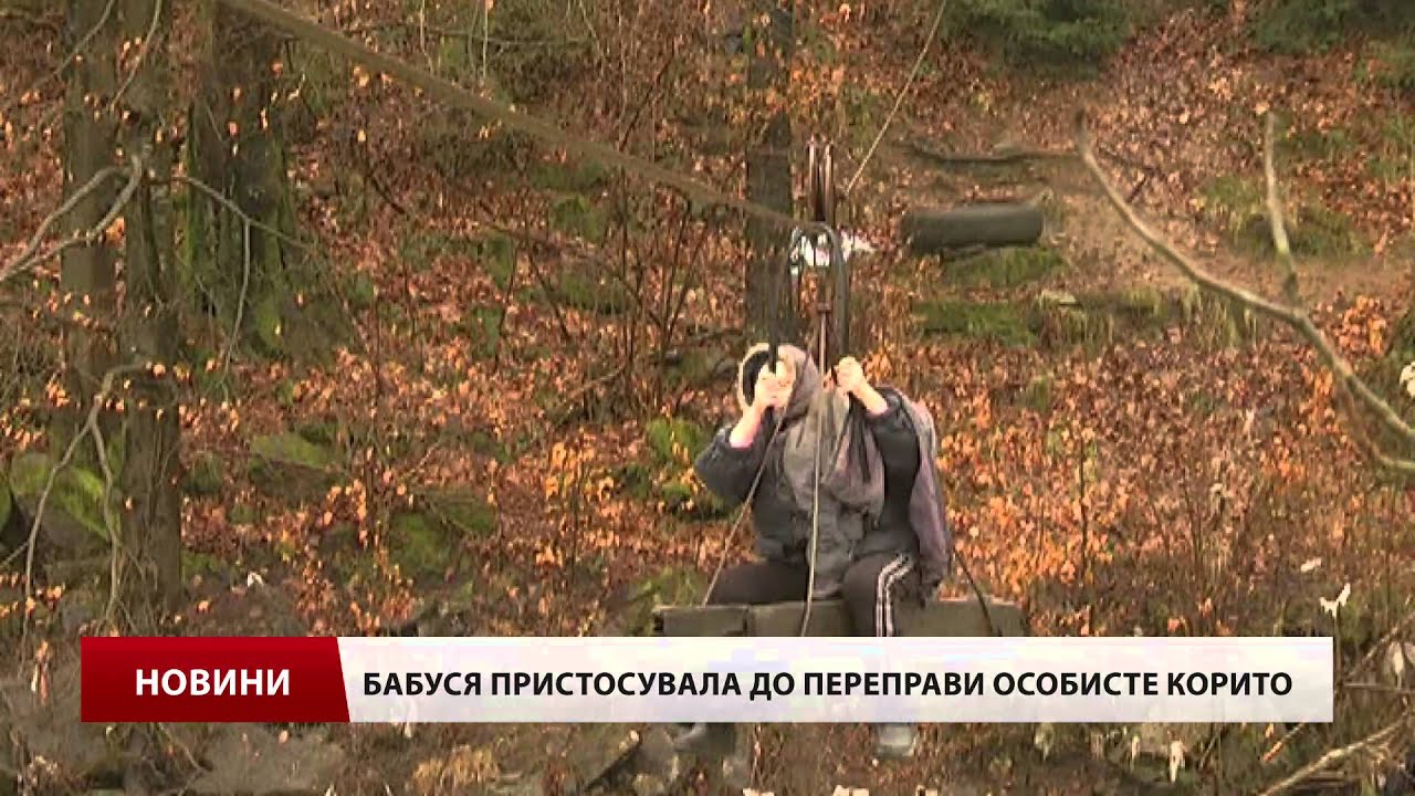 Закарпатські селяни через бездіяльність влади змушені 