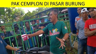 Pak cemplon di pasar burung dikerumuni cewek cewek cantik