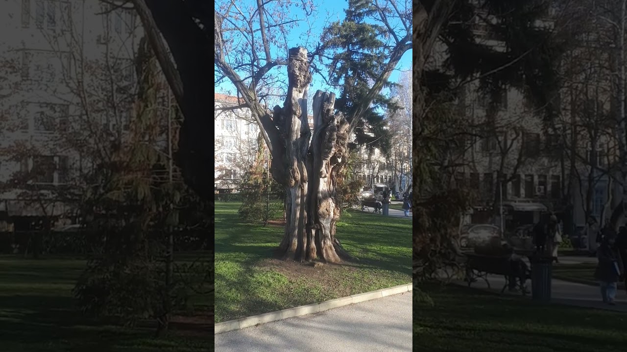 Археологический парк, последний день весны