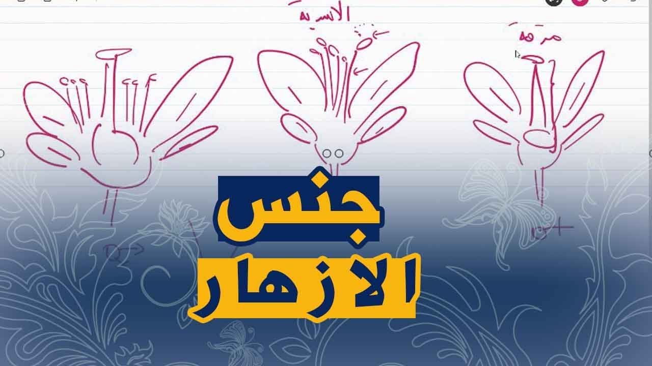 علوم طبيعية السنة اولى متوسط تمرين على انواع الازهار من حيث الجنس