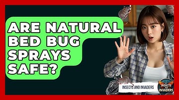 Are Natural Bed Bug Sprays Safe? - Insects and Invaders