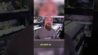 Mastering Aquarium Water Parameters: pH Explained