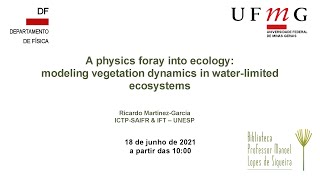 A physics foray into ecology: modeling vegetation dynamics in water-limited ecosystems