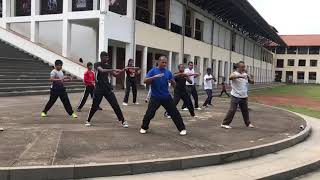 Tai Chi Practice with Master Nayanananda Ediriweera - Video2
