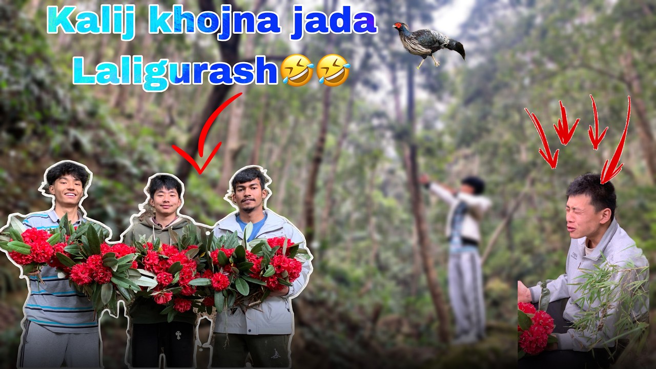 KALIJ KHOJNA JADA! LALIGURASH?  DAY 19/30?