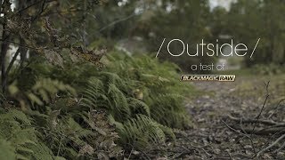 Outside | A Quick Test of Blackmagic RAW screenshot 4