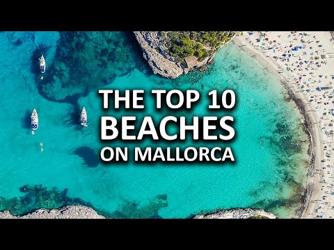 The Top 10