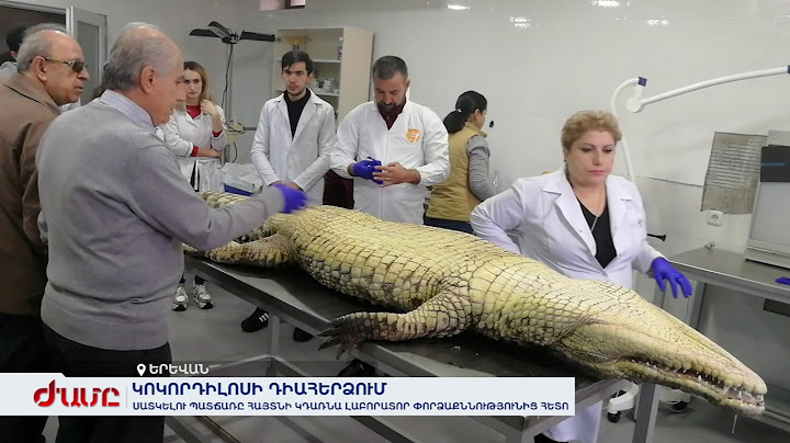 Կոկորդիլոսի սատկելու պատճառը հայտնի կդառնա լաբորատոր փորձաքննությունից հետո