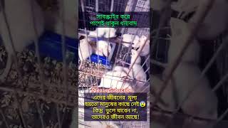 ইসলামিক religion islamicvideo islamicmessagesviral shorts short youtubeshorts ytshorts yt