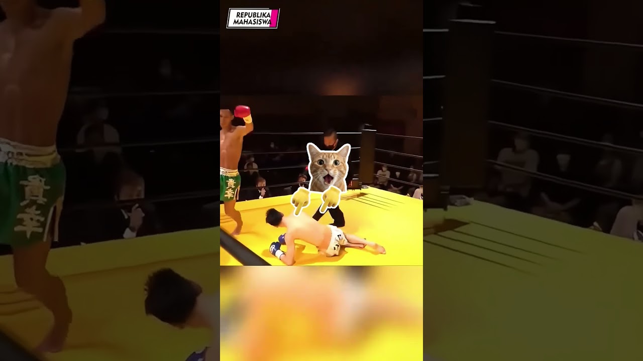 PERTARUNGAN YANG BIKIN KETAWA!!  #ufc #boxing #mma #sport #sports