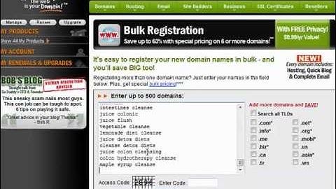Crowd Mountain Bootcamp Module 01 Step 06: Domain Name Selection