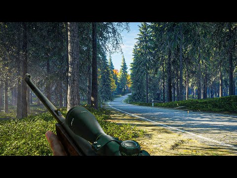 TheHunter Call of the Wild: gameplay, requisitos e mais do jogo de