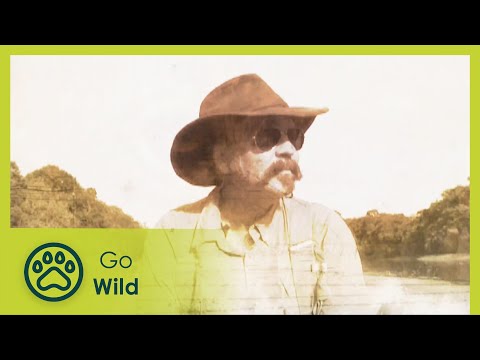 The Trapper and The Amazon - Go Wild