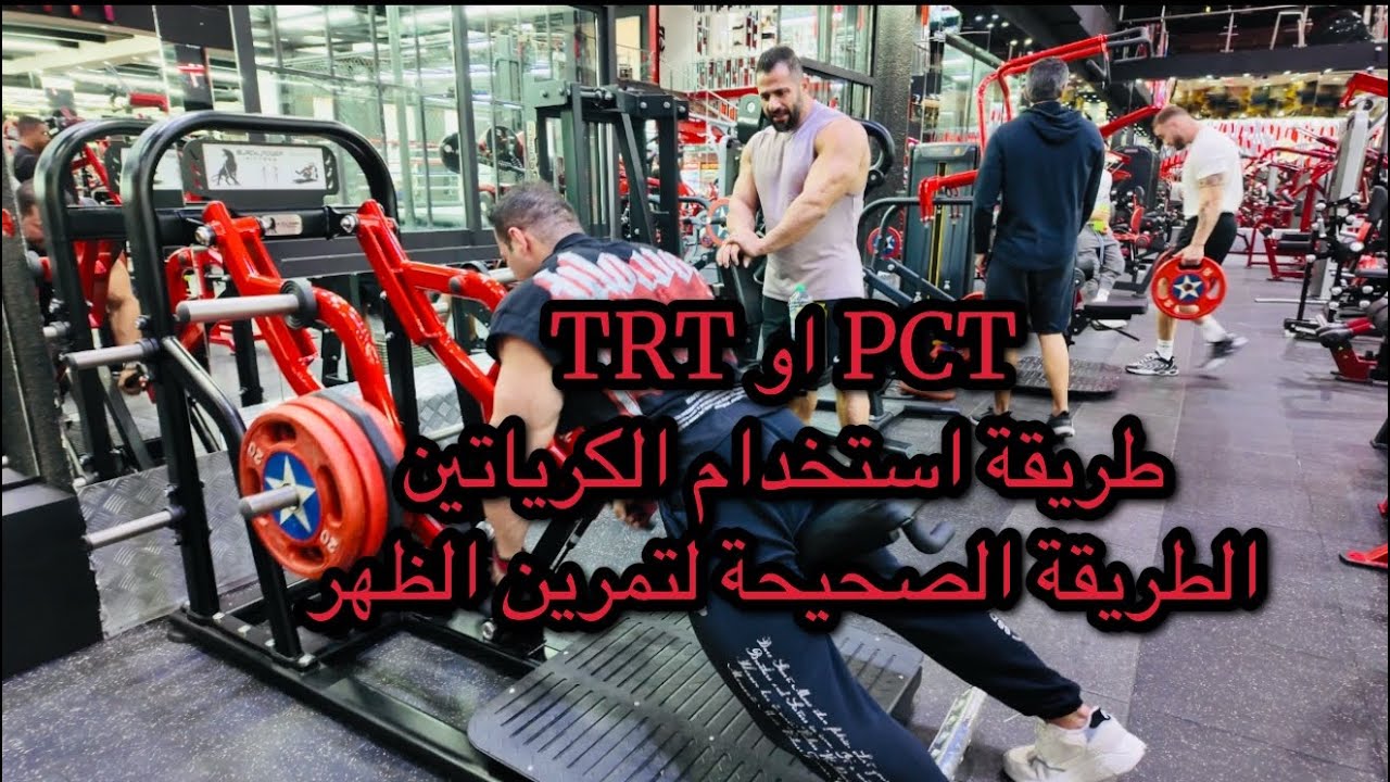 ٥٩ يوم قبل ارنولد كلاسيك، PCT او TRT، طريقة استخدام الكرياتين، تمرين ظهر