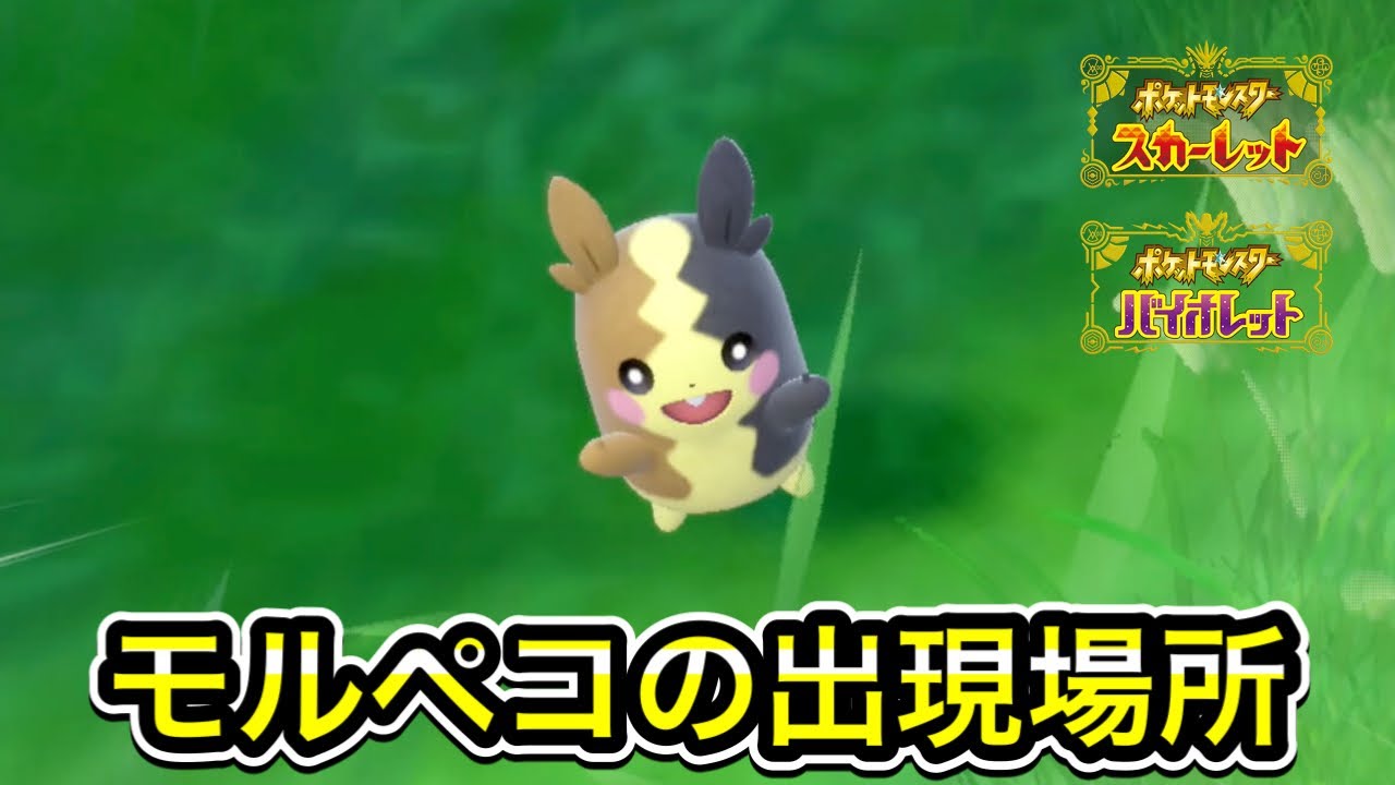 ポケモンSV】モルペコの入手方法！出現場所を解説 - YouTube