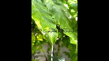 التلاوة الأجمل علي الإطلاق ، الشيخ ياسر الدوسري ما تيسر من سورة النمل #راحة_نفسية #اكسبلور