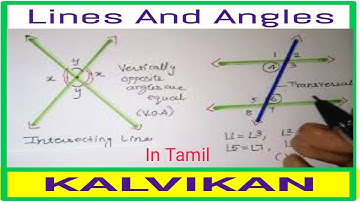 Maths Lines and Angles || Class 9 Lines and Angles Introduction in Tamil / Lines And Angles In Tamil