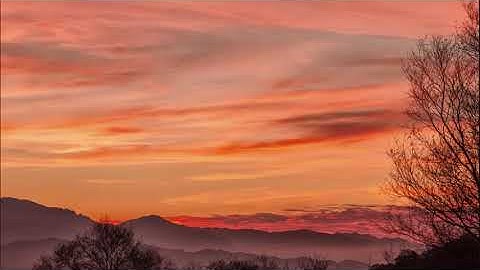 تلاوة شجية عذبة كلها جمال راحه تغمر القلوب