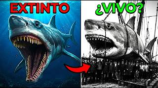 10 Monstruos Marinos Prehistóricos Que Nunca Debieron Existir