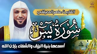 Surat Yasin Maher Al Muaiqly   سورة يس   الشيخ ماهر المعيقلي
