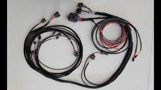 Hcr Innovation Main Engine Harness for Holley Efi