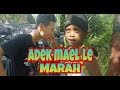 ADEK MAELL LEE VIRAL DI INSTAGRAM | KOMPILASI VIDIO ADEK MAELL LEE