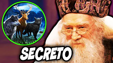 ¿Qué es el Animago de Dumbledore?