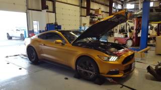 Dipped 2015 Mustang Ecoboost Precision Turbo 361hp/390tq Dyno Pull