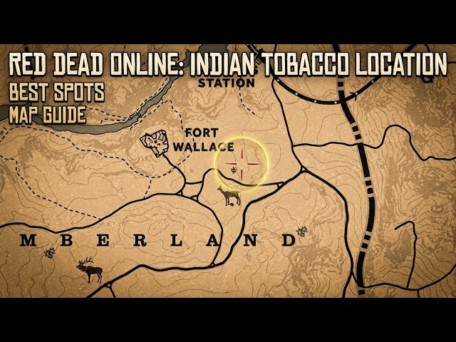 find indian tobacco rdr2 location to save you 20 minutes (random encounter Indian Tobacco | Red Dead