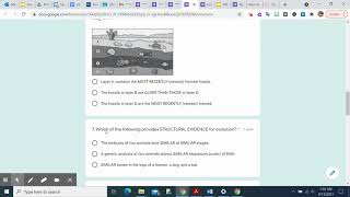 Evidence of Evolution Quiz