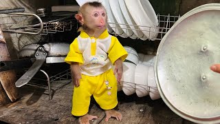 Baby monkey Tina ran away when her mother discovered she had knocked something over.