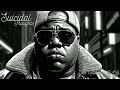 The notorious big productions  suicidal thoughts ctah b remix