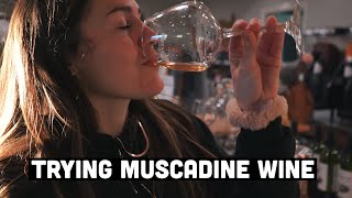 MUSCADINE Wine Tasting! | Paulk Vineyards