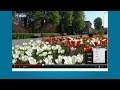 Cum sa vezi filmuletele de pe Youtube la calitate maxima