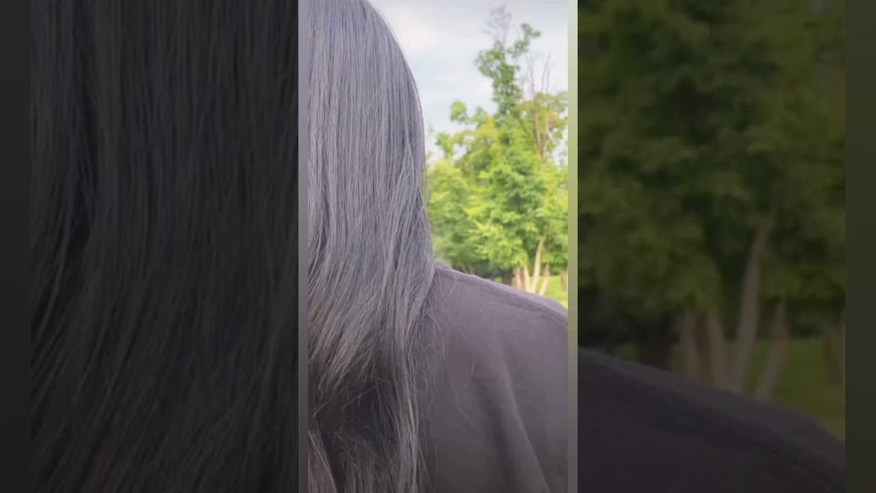 OMG Cutest Dog in the world 😍