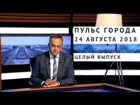 Пульс города, 24 августа 2018