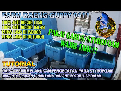 Video: Mengapa gabus tahan air?