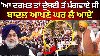 Bhagwant Mann | 'ਆ ਦਰਖ਼ਤ ਤਾਂ ਇਨਵੈੱਸਟ ਸਮਿਟ ਲਈ ਦੁੱਬਈ ਤੋੋਂ ਮੰਗਵਾਏ ਸੀ, ਬਾਦਲਾਂ ਨੇ ਆਪਣੇ ਘਰ ਲਾ ਲਏ'| N18L