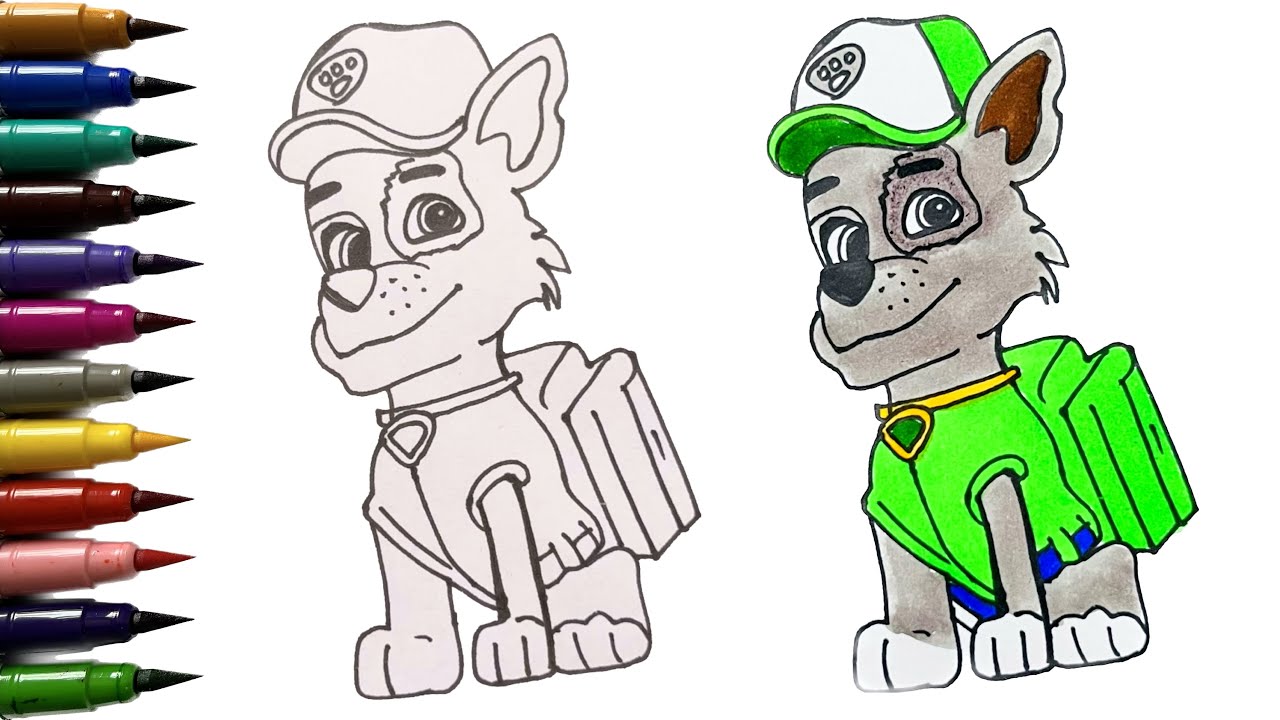 How to Draw Rocky From Paw Patrol | Rocky Paw Patrol Paw Drawing Easy | Rocky Drawing | Easy Drawing