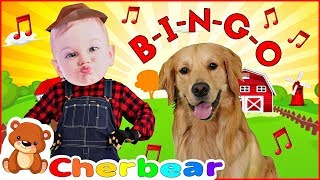 My Dog Song BINGO New Kids Songs Remix Sing Along Song for Children