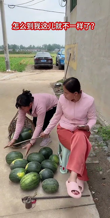 3x5rfm9gy68hvzy.mp4