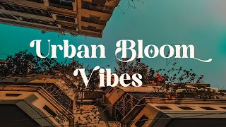 Urban Bloom Vibes 🌺 Relaxing Lofi Mix for Peace and Inspiration