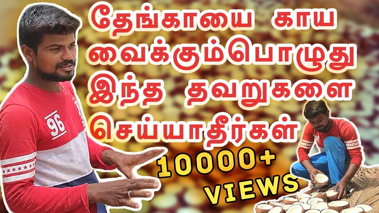 Do not make these mistakes when drying coconut Tamil YouTube