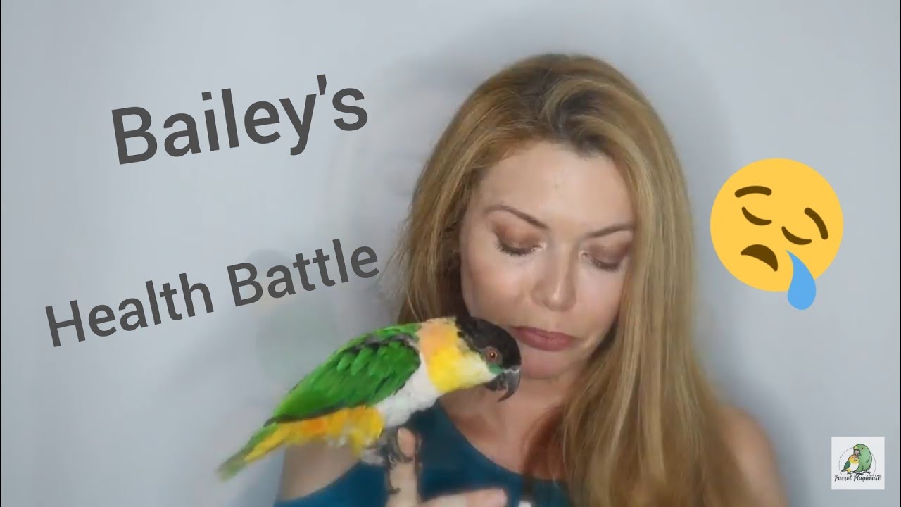 Bailey's Battle With Iron Storage Disease 😢 YouTube