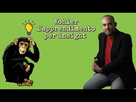 Video: Come ha definito Köhler l'insight?